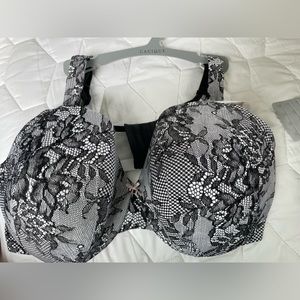 Cacique bra 44DD NWT gorgeous full coverage